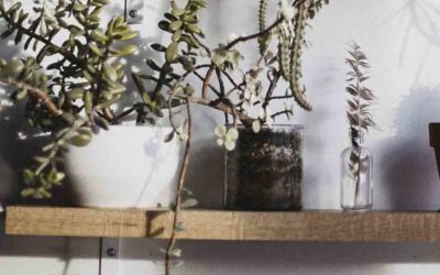 The Loan Process Stages & Steps – Home Refinance